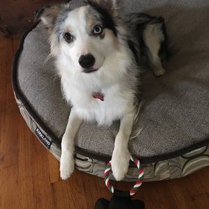 Meet your Posher, Tami